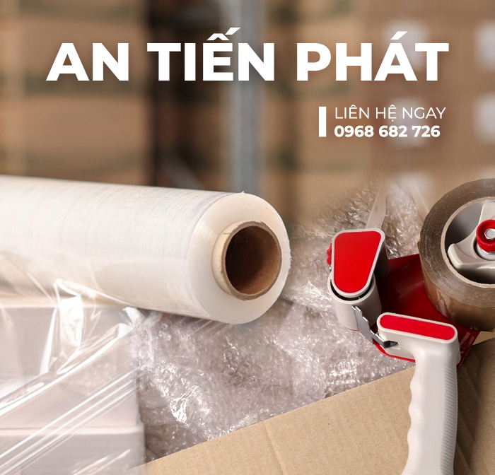 CÔNG TY TNHH ĐẦU TƯ PHÁT TRIỂN QUỐC TẾ AN TIẾN PHÁT